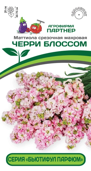 Партнер Маттиола срезочная махровая "Бьютифул Парфюм" ЧЕРРИ БЛОССОМ^(10шт) 2-ной пак