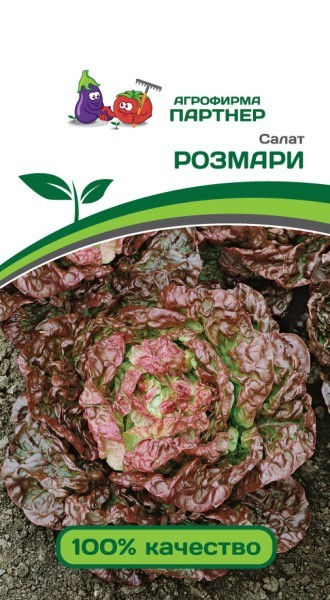 Партнер Салат кочанный РОЗМАРИ ^(1г), изображение 0
