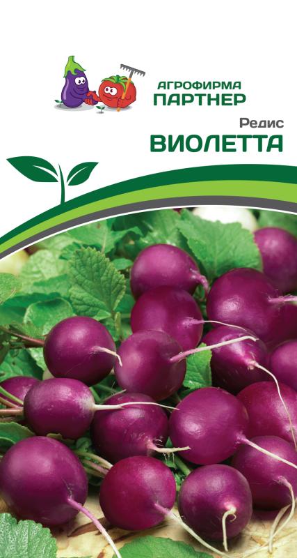 Партнер Редис ВИОЛЕТТА ^(2г), изображение 0