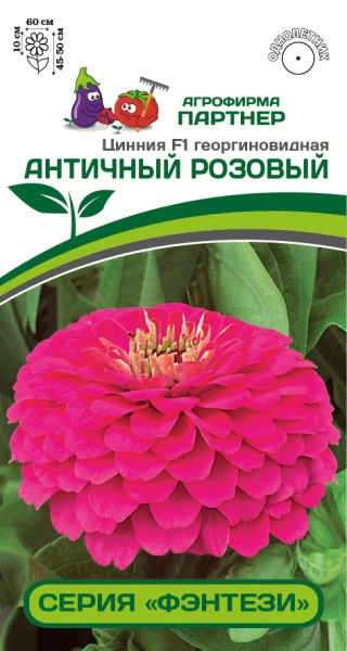 Партнер Цинния F1 АНТИЧНЫЙ РОЗОВЫЙ / георгиновидная ^(4шт) , изображение 0
