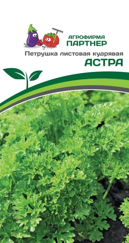 Партнер Петрушка листовая кудрявая АСТРА ^(3г), изображение 0