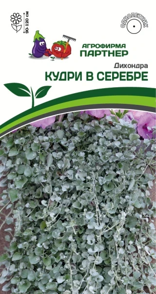 Партнер Дихондра серебристая КУДРИ В СЕРЕБРЕ ^(4шт в амп), изображение 0