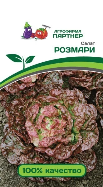 Партнер Салат кочанный РОЗМАРИ ^(1г)